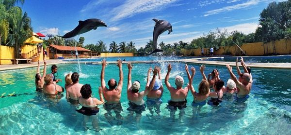 swim-with-dolphins-acapulco