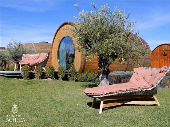 Wooden wine barrel suite surrounded by olive trees and outdoor lounge chairs at Quinta da Pacheca