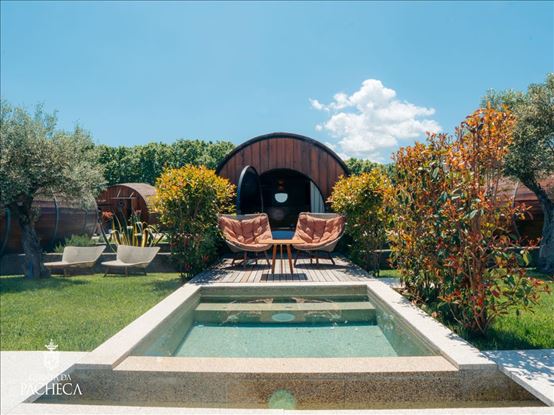 Outdoor plunge pool surrounded by greenery at Quinta da Pacheca in Portugal's Douro Valley